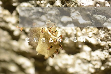 逾期信息将于近期上报 逾期信息将于近期上报