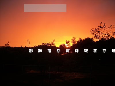 逾期信息将体现在您征信记录 逾期信息将体现在您征信记录