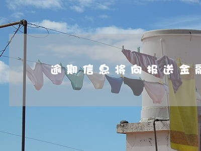 逾期信息将向报送金融数据库 逾期信息将向报送金融数据库