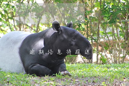 逾期信息将报送至金融数据库 逾期信息将报送至金融数据库