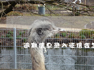 逾期信息录入征信会怎么样 逾期信息录入征信会怎么样