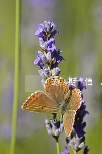 逾期信息征信多久消除 逾期信息征信多久消除