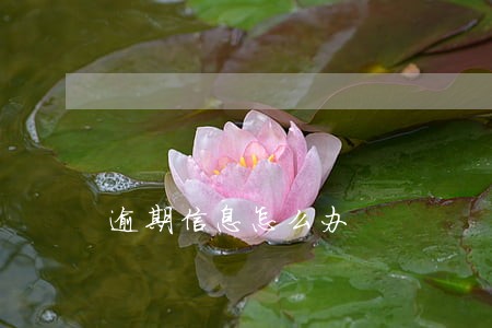 逾期信息怎么办 逾期信息怎么办