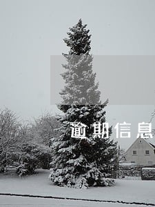 逾期信息总汇月份数 逾期信息总汇月份数