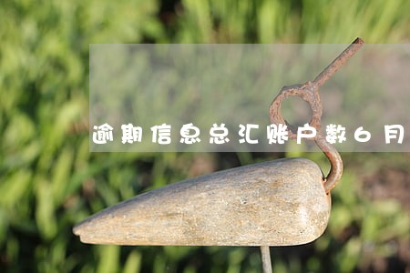 逾期信息总汇账户数6月份数5 逾期信息总汇账户数6月份数5