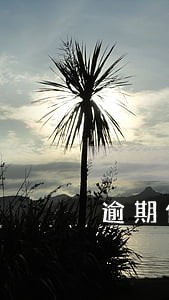 逾期信息截图