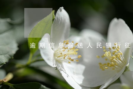 逾期信息报送人民银行征信库影响 逾期信息报送人民银行征信库影响