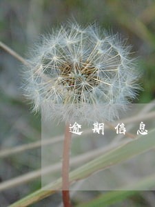 逾期信息是实时上报吗 逾期信息是实时上报吗