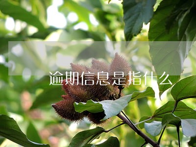 逾期信息是指什么 逾期信息是指什么