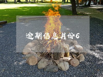 逾期信息月份6 逾期信息月份6