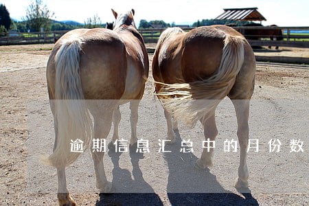 逾期信息汇总中的月份数 逾期信息汇总中的月份数