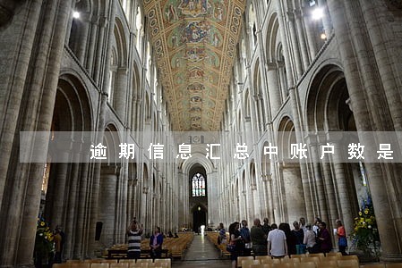 逾期信息汇总中账户数是什么 逾期信息汇总中账户数是什么