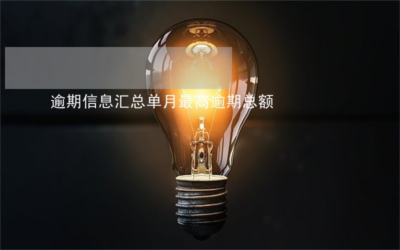逾期信息汇总单月最高逾期总额 逾期信息汇总单月最高逾期总额