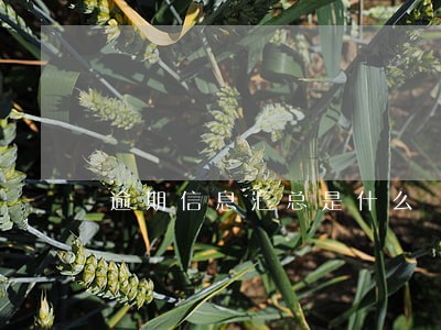 逾期信息汇总是什么 逾期信息汇总是什么