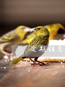 逾期信息汇总月份数啥意思 逾期信息汇总月份数啥意思