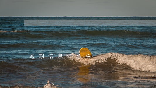 逾期信息汇总栏 逾期信息汇总栏