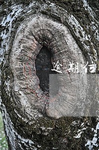 逾期信息汇总都是2 逾期信息汇总都是2