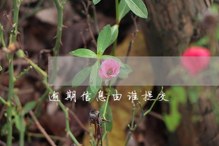 逾期信息由谁提交 逾期信息由谁提交
