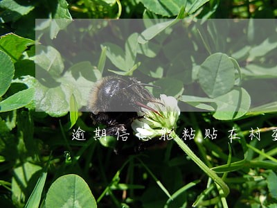 逾期信息能粘贴在村委公告栏吗 逾期信息能粘贴在村委公告栏吗