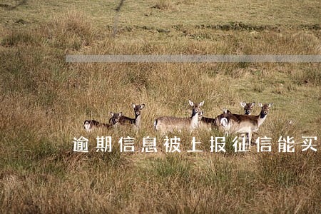 逾期信息被上报征信能买车票吗 逾期信息被上报征信能买车票吗
