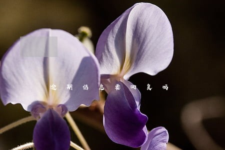 逾期信息要回复吗 逾期信息要回复吗