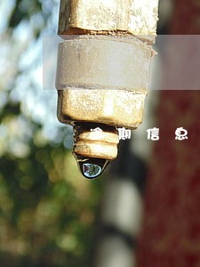 逾期信息费 逾期信息费