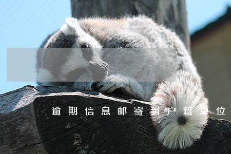 逾期信息邮寄到户籍单位