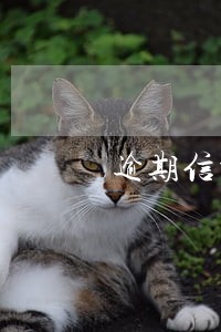 逾期信报多久能显示 逾期信报多久能显示