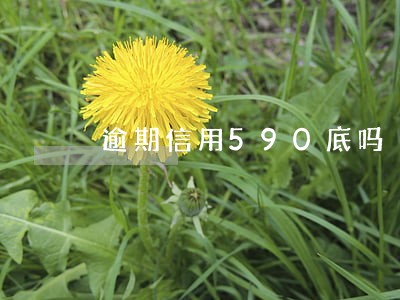 逾期信用590底吗 逾期信用590底吗