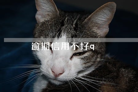 逾期信用不好q