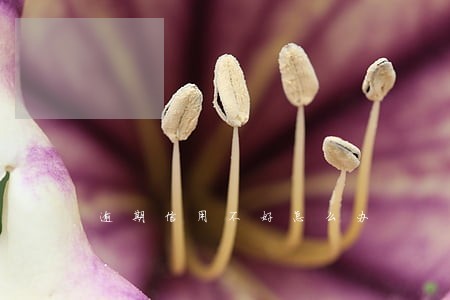 逾期信用不好怎么办