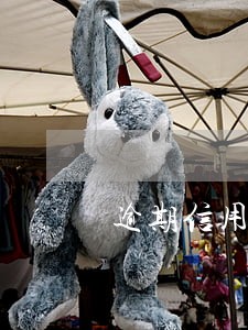 逾期信用不好能办信用卡吗