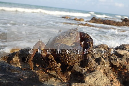 逾期信用不良多久消除 逾期信用不良多久消除