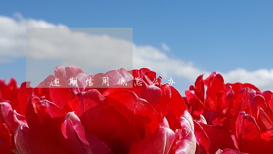 逾期信用低怎么办