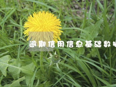 逾期信用信息基础数据库 逾期信用信息基础数据库