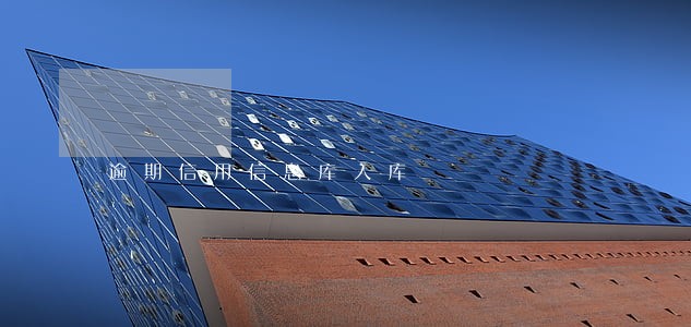 逾期信用信息库入库