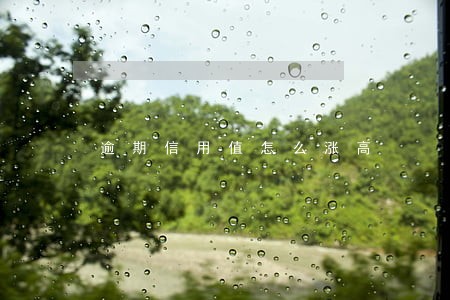 逾期信用值怎么涨高 逾期信用值怎么涨高