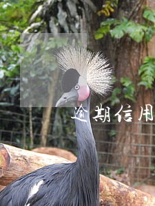 逾期信用分不足也能贷款的软件 逾期信用分不足也能贷款的软件