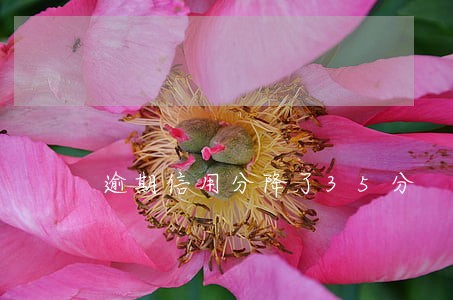 逾期信用分降了35分 逾期信用分降了35分