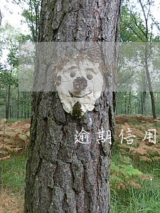 逾期信用卡0额度 逾期信用卡0额度