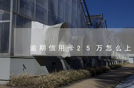 逾期信用卡25万怎么上岸