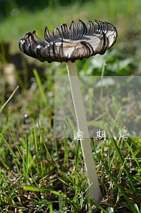 逾期信用卡4天大约得多少钱 逾期信用卡4天大约得多少钱