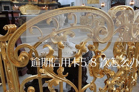 逾期信用卡58次怎么办 逾期信用卡58次怎么办