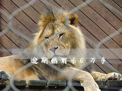 逾期信用卡6万多