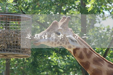 逾期信用卡一万二 逾期信用卡一万二