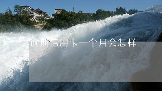逾期信用卡一个月会怎样 逾期信用卡一个月会怎样