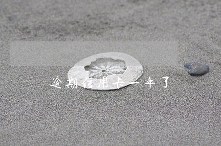 逾期信用卡一年了 逾期信用卡一年了