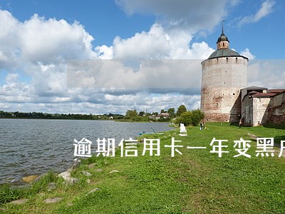 逾期信用卡一年变黑户 逾期信用卡一年变黑户