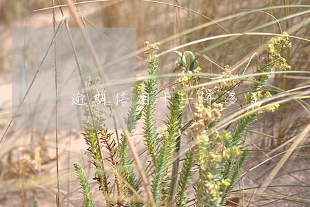 逾期信用卡一年多了 逾期信用卡一年多了