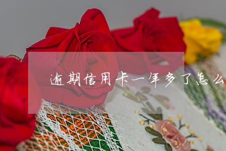 逾期信用卡一年多了怎么办